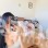 Азалия